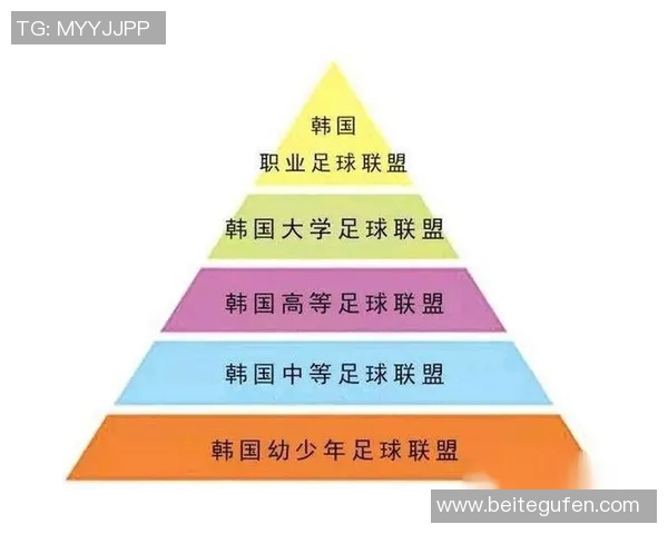 香港足球的崛起与挑战：从青训体系到职业联赛的全面分析与展望