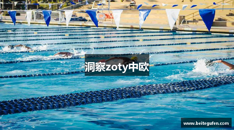 洞察zoty中欧